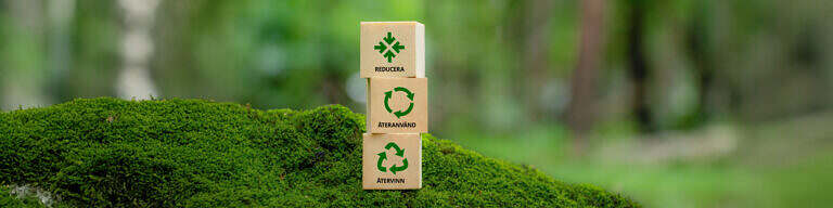 En närbild på mossa med tre träkuber staplade på varandra som symboliserar cirkulär produktion