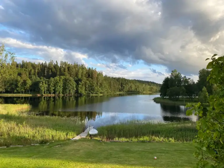 En sommarvy över en sjö med skog runt.