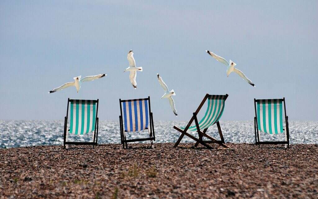 En sommarbild från en strand med solstolar och fiskmåsar som flyger över dem